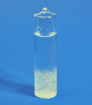 Stanley London Storm Glass Capsule